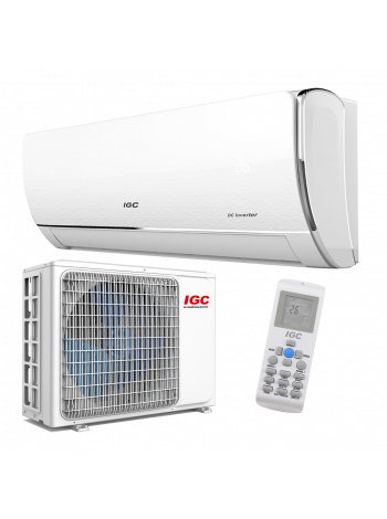 IGC SILVER RAS/RAC-V12N2X